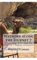 Waysides along the Journey 7