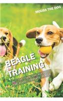 Beagle Training: All the Tips You Need for a Well-Trained Beagle