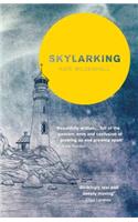 Skylarking: Striking fiction rooted in adolescent friendship and desire