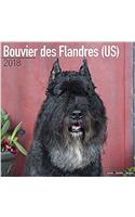 Bouvier des Flandres (US) Calendar 2018