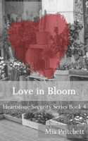 Heartstone Security Series