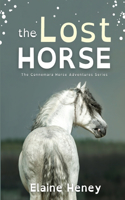 Lost Horse - Dyslexia Friendly
