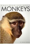 Amazing Animals: Monkeys