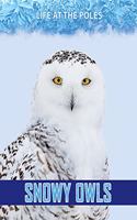 Snowy Owls