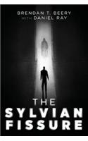 Sylvian Fissure