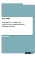 Ursachen und Formen des gesellschaftlichen Problems der Jugendkriminalität