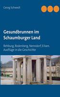 Gesundbrunnen im Schaumburger Land: Rehburg, Rodenberg, Nenndorf, Eilsen. Ausflüge in die Geschichte