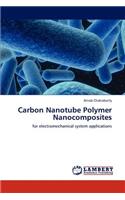Carbon Nanotube Polymer Nanocomposites
