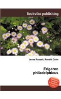 Erigeron Philadelphicus: (English)