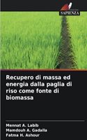 Recupero di massa ed energia dalla paglia di riso come fonte di biomassa