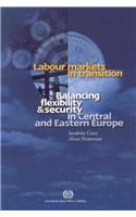Labour Markets in Transition