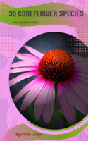 30 Coneflower species: Make the right choice