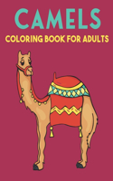 Camels Coloring Book For Adults