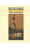 Life of Birds