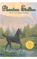 Phantom Stallion #12: Rain Dance