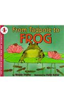 From Tadpole to Frog