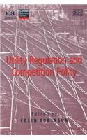 Utility Regulation and Competition Policy