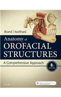 Anatomy of Orofacial Structures: A Comprehensive Approach