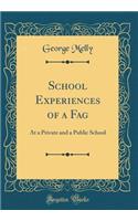 School Experiences of a Fag: At a Private and a Public School (Classic Reprint)