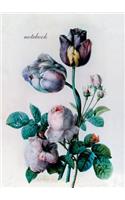 Notebook: Redoute (Tulip)
