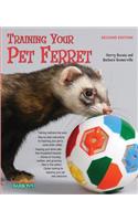 Training Your Pet Ferret