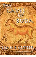 The Caves of Buda