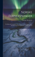 Norske Fornlevninger
