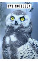 Owl Notebook: Blank 120 Page Lined Journal Notebook or Diary - Owl Notebooks And Journals - Owl Gifts 120 Pages 6x9