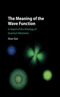 Meaning of the Wave Function: In Search of the Ontology of Quantum Mechanics