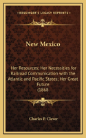 New Mexico: Her Resources; Her Necessities for Railroad Communication with the Atlantic and Pacific States; Her Great Future (1868(English)