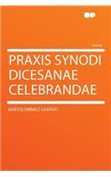 Praxis Synodi Dicesanae Celebrandae