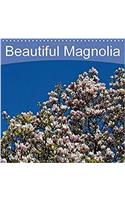 Beautiful Magnolia 2018