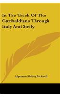 In The Track Of The Garibaldians Through Italy And Sicily