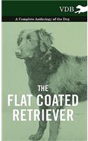 The Flat Coated Retriever - A Complete Anthology of the Dog: (English)