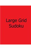 Large Grid Sudoku
