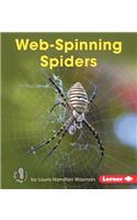 Web-Spinning Spiders