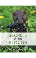 Secrets of the Slough