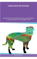 Labrottie Activities Labrottie Tricks, Games & Agility Includes: Labrottie Beginner to Advanced Tricks, Fun Games, Agility & More