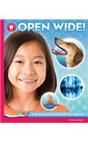 Open Wide: The Ultimate Guide to Teeth