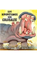 ¡los Hipopótamos Son Colosales!