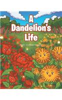 A Dandelion's Life