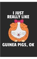 Meerschweinchen Notizbuch