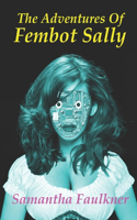The Adventures Of Fembot Sally