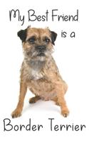 My best Friend is a Border Terrier