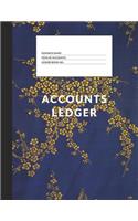 Accounts Ledger