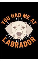 You Had Me at Labrador: Funny Lined Journal for Labrador Retriever Owners