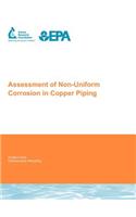 Assessment of Non-Uniform Corrosion in Copper Piping