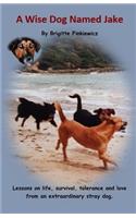 Wise Dog Named Jake: Lessons on life, survival, tolerance and love from an extraordinary stray dog