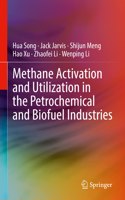 Methane Activation and Utilization in the Petrochemical and Biofuel Industries