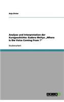 Analyse und Interpretation der Kurzgeschichte